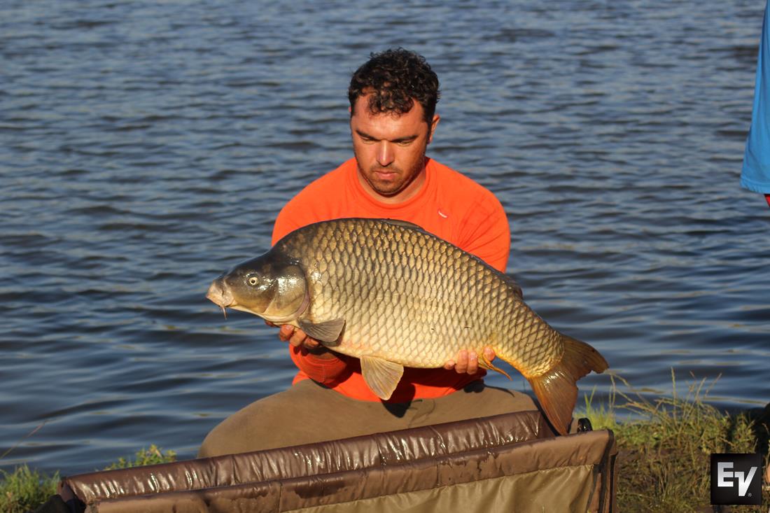 cenusaru 6 - 9 iulie 2017 - 4.jpg